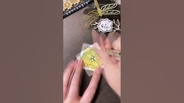 Zentangle Pattern #SATURDAY 禪繞畫入門 禪繞圖樣 (N.1882) how to draw by Eva Wu #bijou #shorts