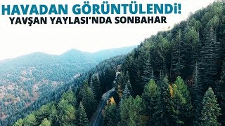 Yavşan Yaylası’nın Eşsiz Güzelliği Drone İle Görüntülendi