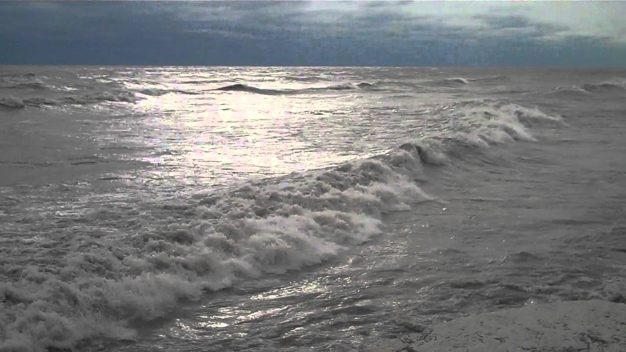 #ducocam - duco the weatherman - YouTube