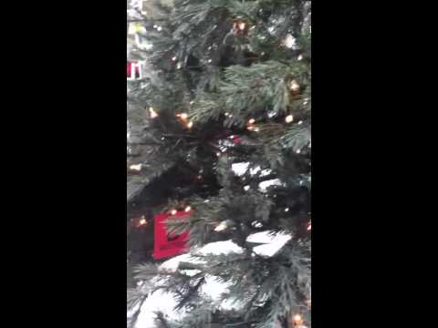 Creepy (Portal) Christmas Tree