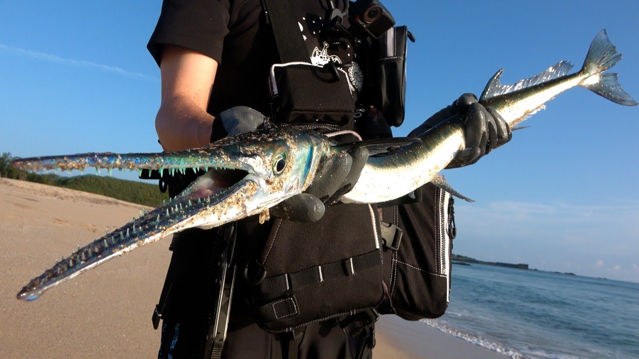 ヤベェ島遠征記