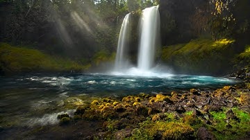 8 Hours Nature Sounds Waterfall Relaxing Meditation WO Birdsong Calming Water Falling Sound Effect