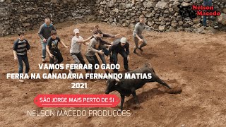 VAMOS FERRAR O GADO  - FERRA GANADARIA FERNANDO MATIAS - SÃO JORGE MAIS PERTO DE SI 2021