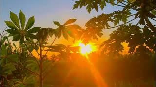 mentahan pagi hari keren