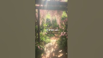| قرآن كريم راحة نفسية |🥹🕋🤎اللهم انصر اهلنا في فلسطين وغزة🇵🇸✌🏻.. #قرآن #فلسطين_حرة