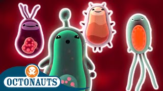 Octonauts  Microscopic Creatures  | 30 Mins+ | Cartoons for Kids | Underwater Sea Education