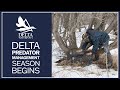 Delta predator management season begins