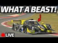 What a beast of a car  iracing weekly races