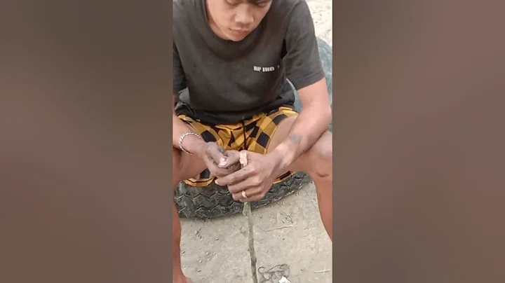 overhauling D6CC engine