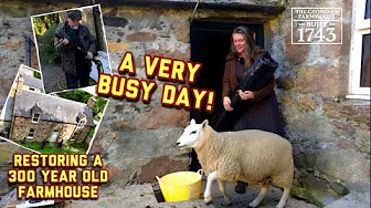 Bringing back to life a 300 year old Scottish Georgian farmhouse. #dailyvlog #restoration