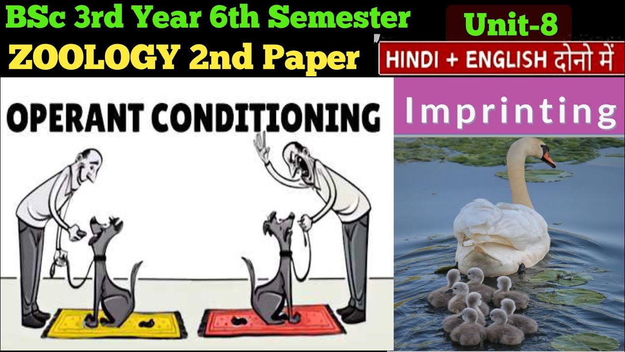 BSc 6th Semester Zoology 2nd Paper //Operant Conditioning/Imprinting/Insight//Classical Conditioning