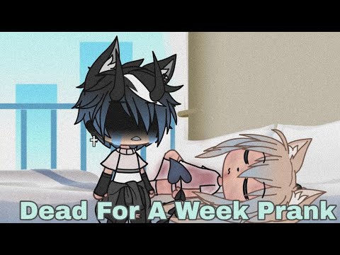 dead-for-a-week-prank//gacha-life//little_piper