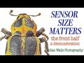 Sensor Size Matters - Part 1 (the Front Half) - A Demonstration