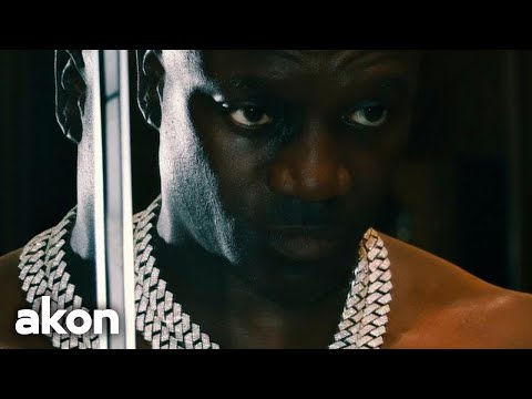 Screen shot of Akon Enjoy music video