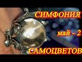 Москва. Май 2021. ВК АМБЕР ПЛАЗА. Ювелирная выставка - "СИМФОНИЯ САМОЦВЕТОВ"  Часть 2.