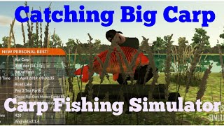 Carp Fishing Simulator (Episode 1) 2019, How to Catch big Fish screenshot 4
