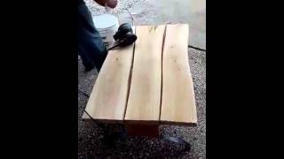 True American Artisans: Cypress Coffee Table (rustic Wood )