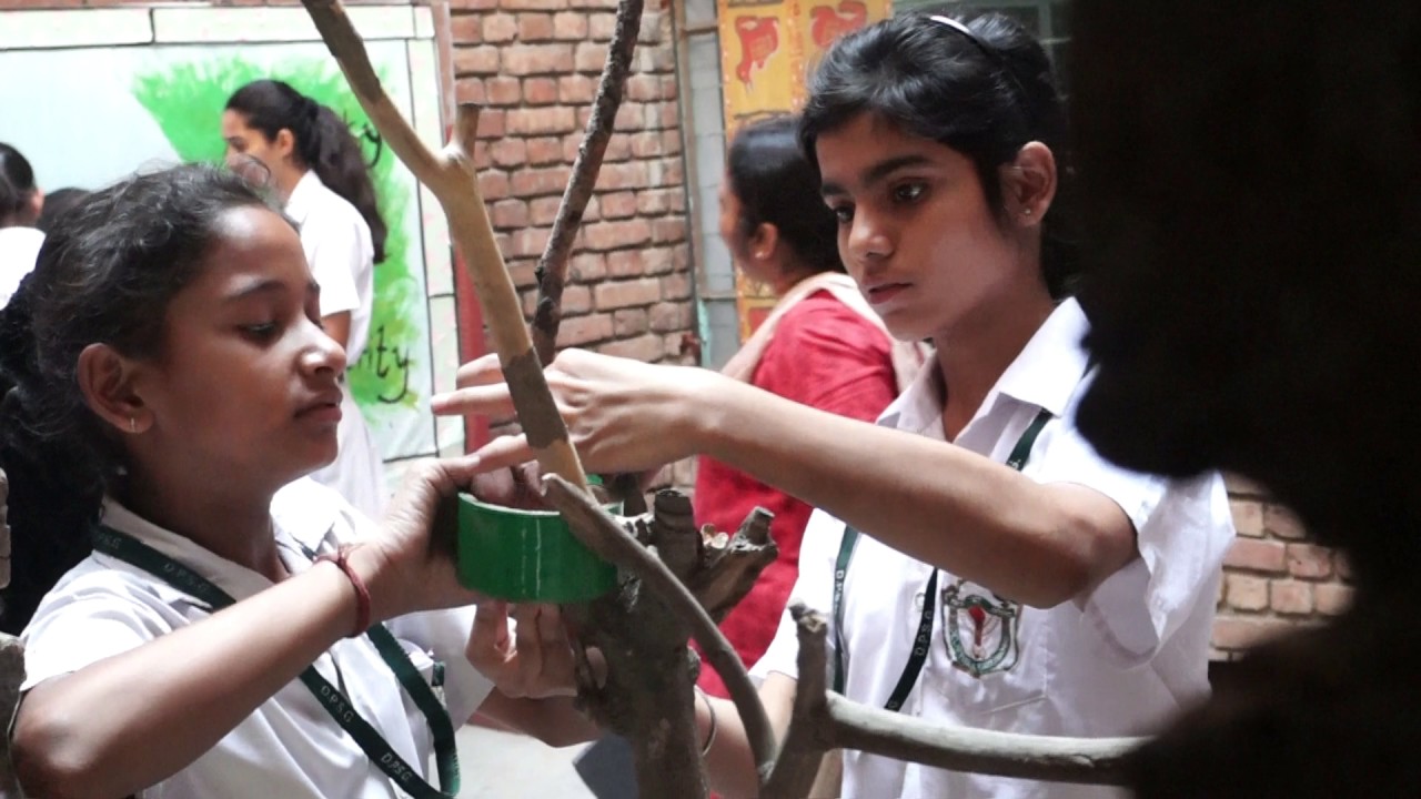Delhi Public School Ghaziabad Presents Its Annual Exhibition 2017 EVOLUTION YouTube