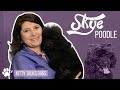 Kitty Talks Dogs: grooming Skye the Miniature Poodle | TRANSGROOM