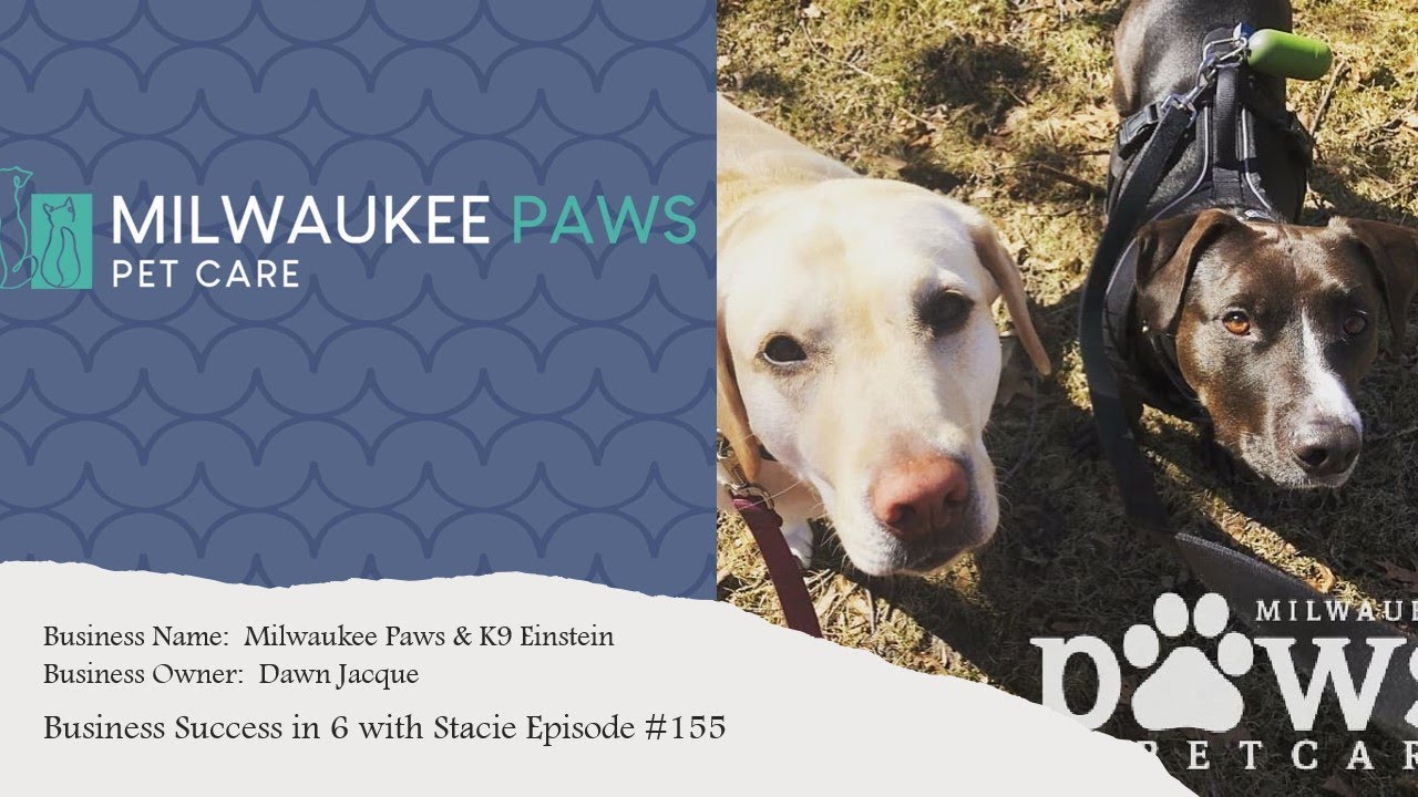 Business Success in 6 with Stacie Episode 155 Milwaukee Paws Day Care & Canine Einstein YouTube