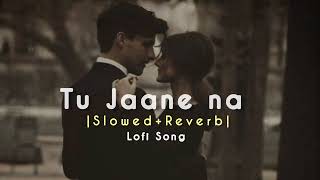 Tu Jaane na ❤️‍🩹🎧 |Slowed+Reverb| #lofi 👀🎶🍷