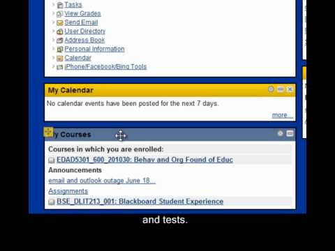 Blackboard Learn 9 Home Page-TAMUK