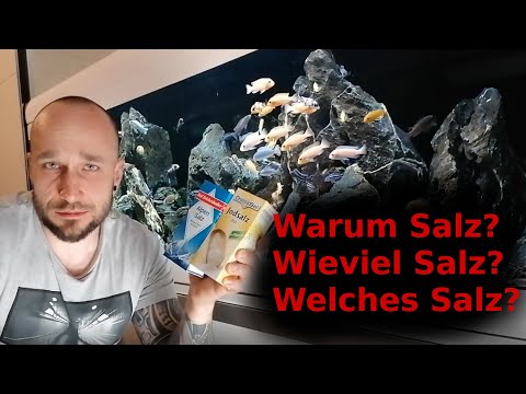 Video: Sind Buntbarsche Süß- oder Salzwasser?