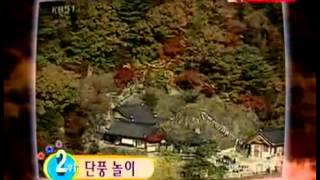스펀지 - Sponge 20051022 #007