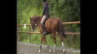 Nubert, Et Halvt År