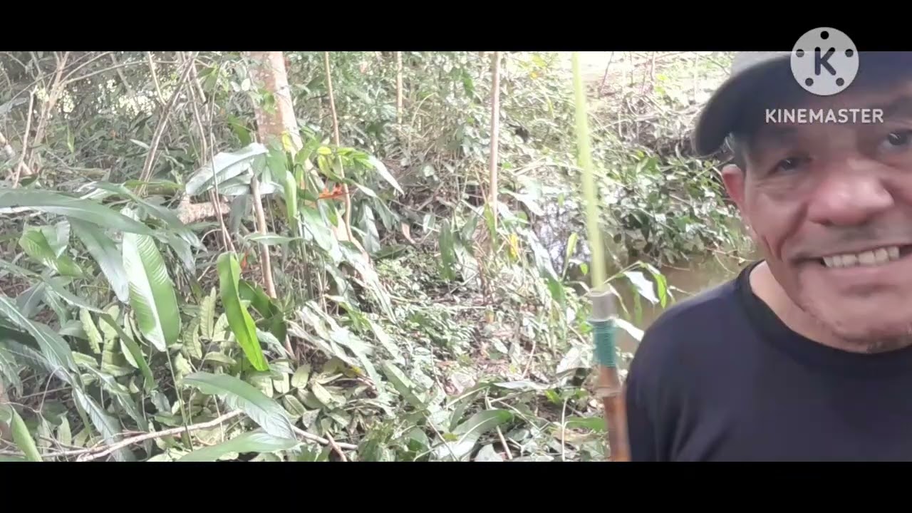 uma  pequena  pesca de lambari,