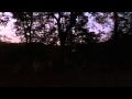 Shooting My Gamo Nitro 17 Shooting My Gamo Nitro 17