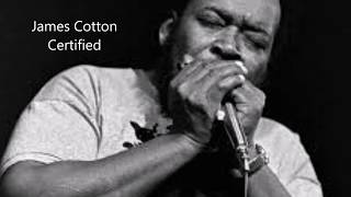 Watch James Cotton Certified video