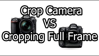 Using A Crop Camera vs. Cropping Full Frame screenshot 2