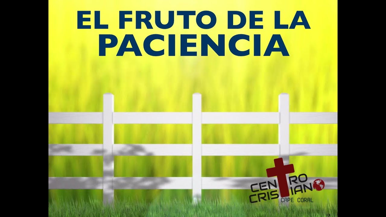 El Fruto de la Paciencia - Pastor Marcelo Guidi - YouTube