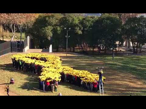 Los lazis y su demencia - Página 2 Hqdefault