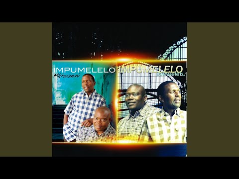 Ngenzenjani
