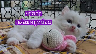 ต้องกล่อม🥰