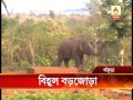 Elephant rescued from a dam in Bankura