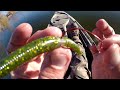 Wacky Worm Fishing Fall Bass And Pike