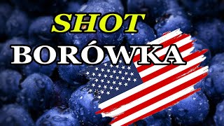 SHOT - Borówka amerykańska /krótko i na temat/