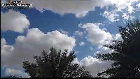 ما تيسر من سورة يوسف/القارئ نور الدين سليم