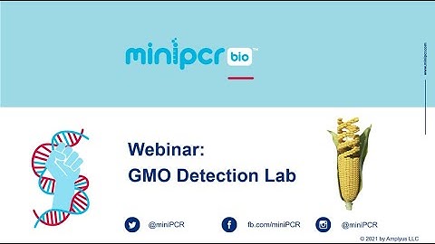 Live Demo: GMO Detection Lab