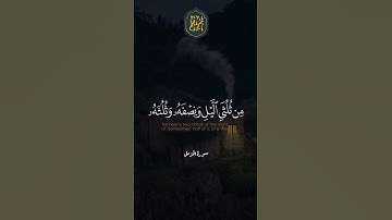 ❤️  تلاوة جميلة ارح سمعك بها #سيد سعيد #quran #تلاوة #اجر #سيد سعيد #سورة#قرآن#91