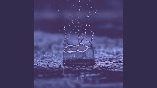 Distinguished Backdrops for Calming Rain