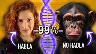 ¿Por qué los HUMANOS pueden HABLAR (y los chimpancés NO)?