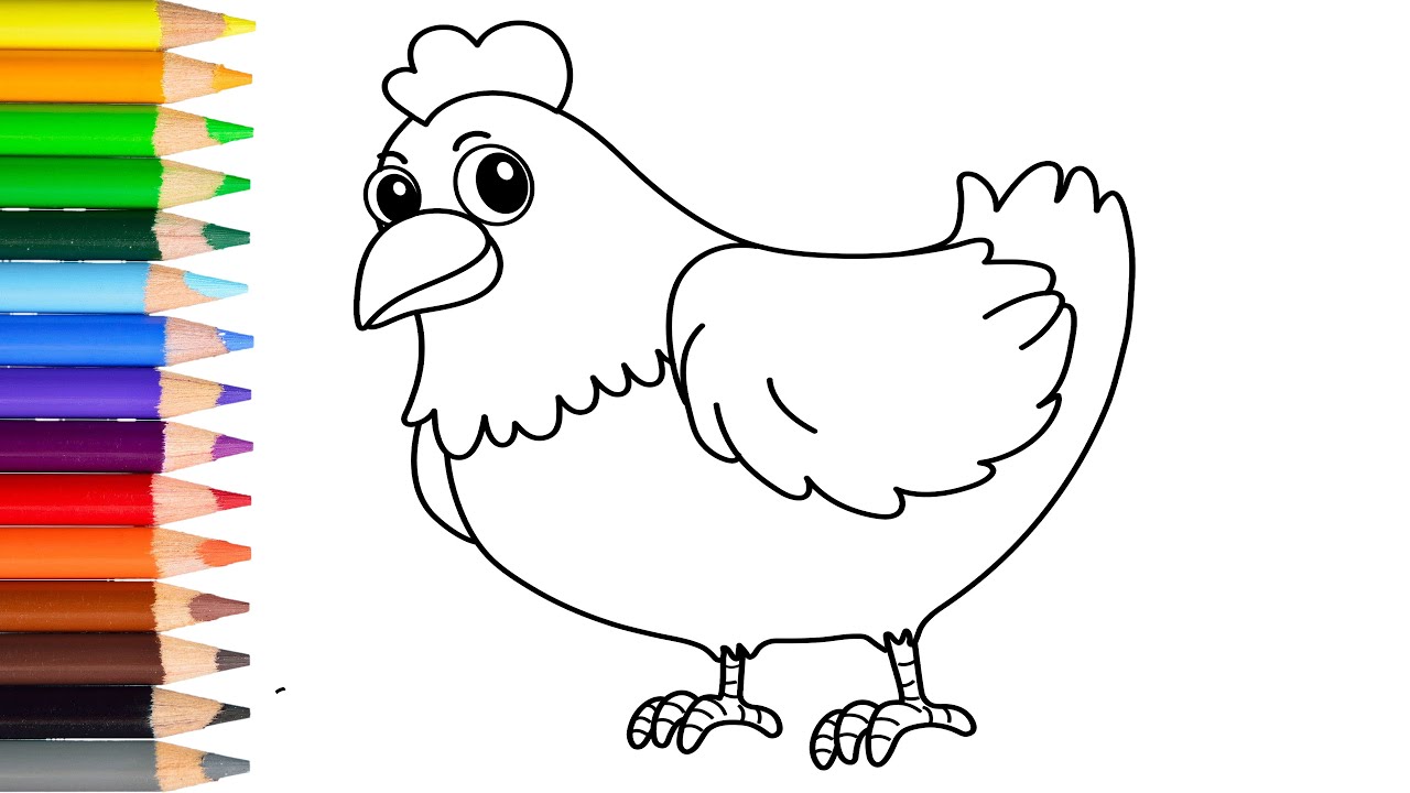 How to draw chicken or hen easy and step by step | learn draw chicken