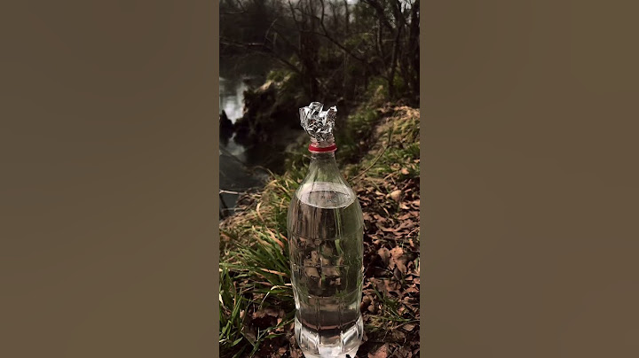 Survival skills : Fantastic idea , Smoked olive oil #bushcraft #nature #survival  #creativity #short