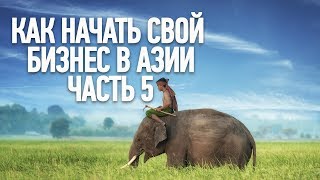 Как начать бизнес в Азии #5 / Школа ЭВОСС Панган Тайланд