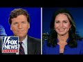 Tulsi Gabbard tells Tucker the Biden admin have been 'busted' on 'absurd cover-up'