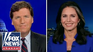 Tulsi Gabbard tells Tucker the Biden admin have been 'busted' on 'absurd coverup'